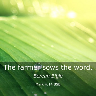 Picture 03 - Mark 4:14 BSB - The farmer sows the - Bible Verse Picture