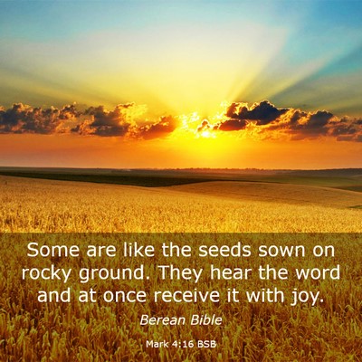 Picture 03 - Mark 4:16 BSB - Some are like the seeds sown on rocky ground. - Bible Verse Picture