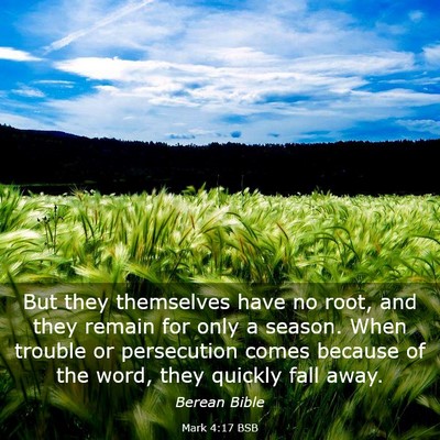Picture 03 - Mark 4:17 BSB - But they themselves have no root, and they remain - Bible Verse Picture