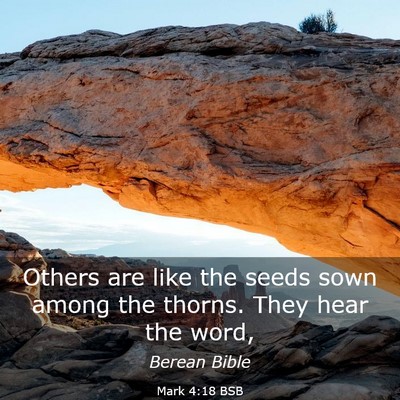 Picture 03 - Mark 4:18 BSB - Others are like the seeds sown among the thorns. - Bible Verse Picture