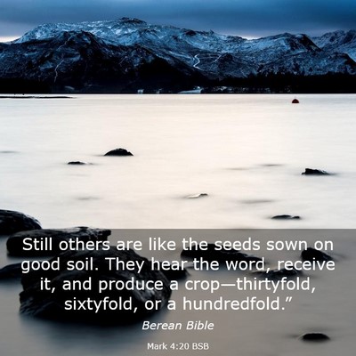 Picture 03 - Mark 4:20 BSB - Still others are like the seeds sown on good - Bible Verse Picture