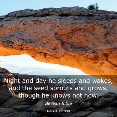 Picture 03 - Mark 4:27 BSB - Night and day he sleeps and wakes, and the seed - Bible Verse Picture
