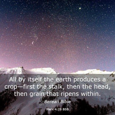 Picture 03 - Mark 4:28 BSB - All by itself the earth produces a crop—first - Bible Verse Picture