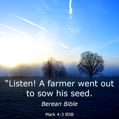 Picture 03 - Mark 4:3 BSB - “Listen! A farmer went out to sow his - Bible Verse Picture