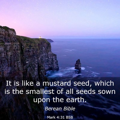 Picture 03 - Mark 4:31 BSB - It is like a mustard seed, which is the smallest - Bible Verse Picture