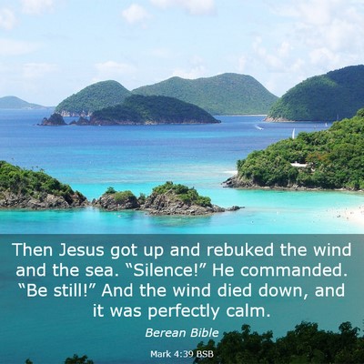 Picture 03 - Mark 4:39 BSB - Then Jesus got up and rebuked the wind and the - Bible Verse Picture