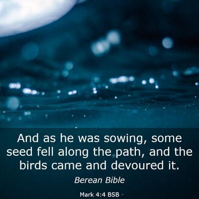 Picture 03 - Mark 4:4 BSB - And as he was sowing, some seed fell along the - Bible Verse Picture