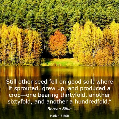 Picture 03 - Mark 4:8 BSB - Still other seed fell on good soil, where it - Bible Verse Picture