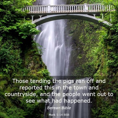 Picture 03 - Mark 5:14 BSB - Those tending the pigs ran off and reported this - Bible Verse Picture
