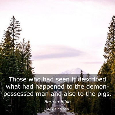 Picture 03 - Mark 5:16 BSB - Those who had seen it described what had happened - Bible Verse Picture