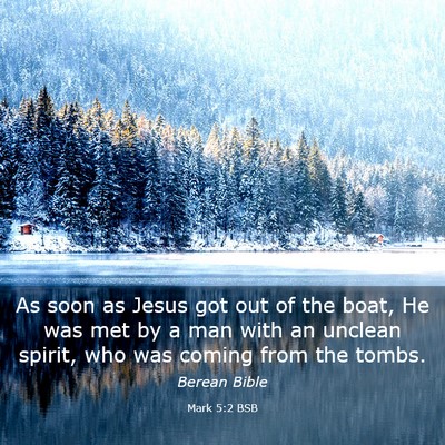 Picture 03 - Mark 5:2 BSB - As soon as Jesus got out of the boat, He was met - Bible Verse Picture