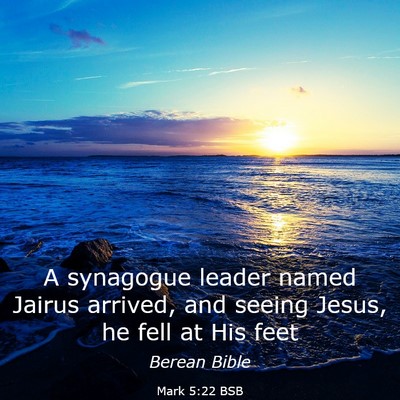 Picture 03 - Mark 5:22 BSB - A synagogue leader named Jairus arrived, and - Bible Verse Picture