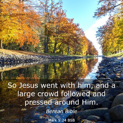 Picture 03 - Mark 5:24 BSB - So Jesus went with him, and a large crowd - Bible Verse Picture