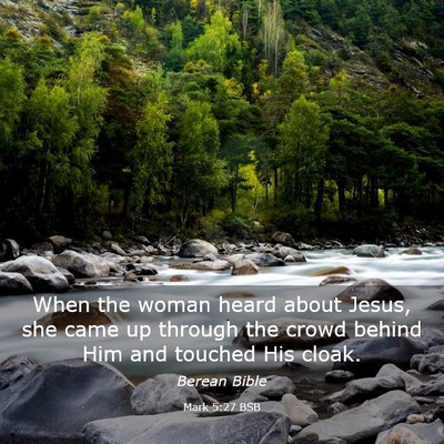 Picture 03 - Mark 5:27 BSB - When the woman heard about Jesus, she came up - Bible Verse Picture
