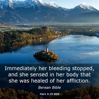 Picture 03 - Mark 5:29 BSB - Immediately her bleeding stopped, and she sensed - Bible Verse Picture