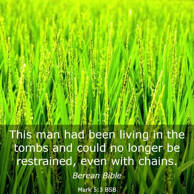 Picture 03 - Mark 5:3 BSB - This man had been living in the tombs and could - Bible Verse Picture