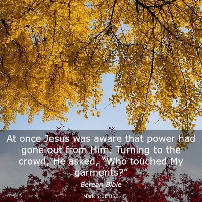 Picture 03 - Mark 5:30 BSB - At once Jesus was aware that power had gone out - Bible Verse Picture