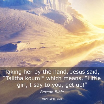 Picture 03 - Mark 5:41 BSB - Taking her by the hand, Jesus said, “Talitha - Bible Verse Picture
