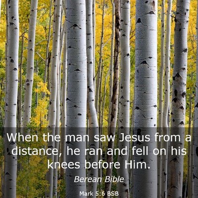 Picture 03 - Mark 5:6 BSB - When the man saw Jesus from a distance, he ran - Bible Verse Picture