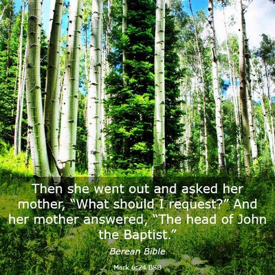 Picture 03 - Mark 6:24 BSB - Then she went out and asked her mother, “What - Bible Verse Picture