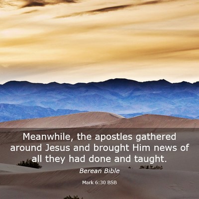 Picture 03 - Mark 6:30 BSB - Meanwhile, the apostles gathered around Jesus and - Bible Verse Picture