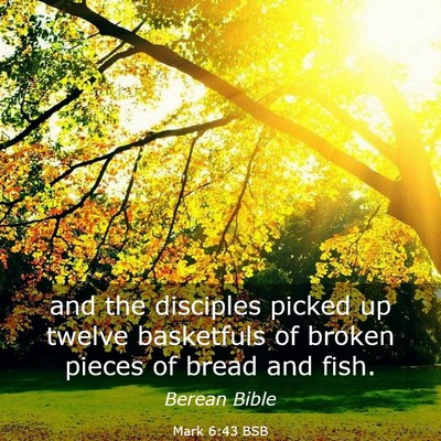 Picture 03 - Mark 6:43 BSB - and the disciples picked up twelve basketfuls of - Bible Verse Picture
