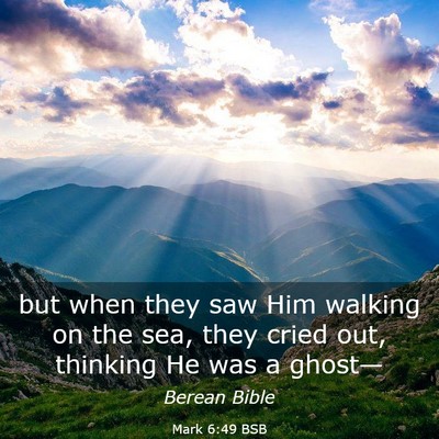 Picture 03 - Mark 6:49 BSB - but when they saw Him walking on the sea, they - Bible Verse Picture
