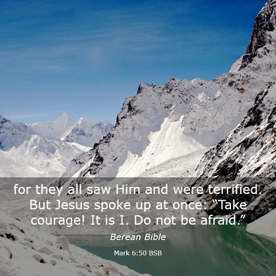 Picture 03 - Mark 6:50 BSB - for they all saw Him and were terrified. But - Bible Verse Picture