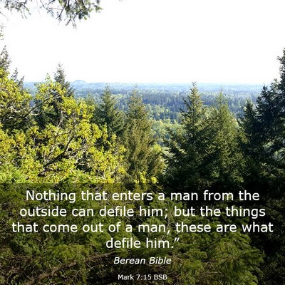 Picture 03 - Mark 7:15 BSB - Nothing that enters a man from the outside can - Bible Verse Picture