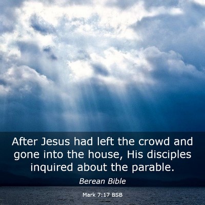 Picture 03 - Mark 7:17 BSB - After Jesus had left the crowd and gone into the - Bible Verse Picture