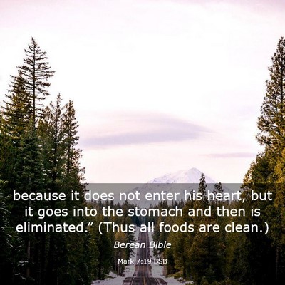 Picture 03 - Mark 7:19 BSB - because it does not enter his heart, but it goes - Bible Verse Picture