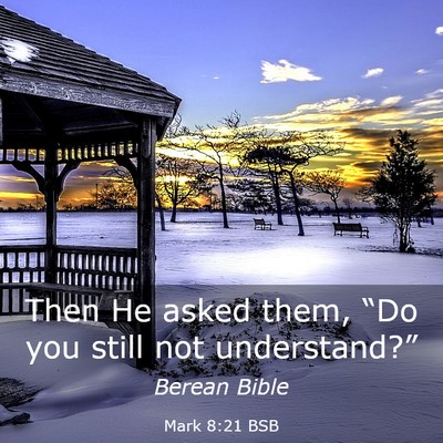 Picture 03 - Mark 8:21 BSB - Then He asked them, “Do you still not - Bible Verse Picture