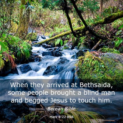 Picture 03 - Mark 8:22 BSB - When they arrived at Bethsaida, some people - Bible Verse Picture