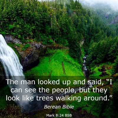 Picture 03 - Mark 8:24 BSB - The man looked up and said, “I can see the - Bible Verse Picture