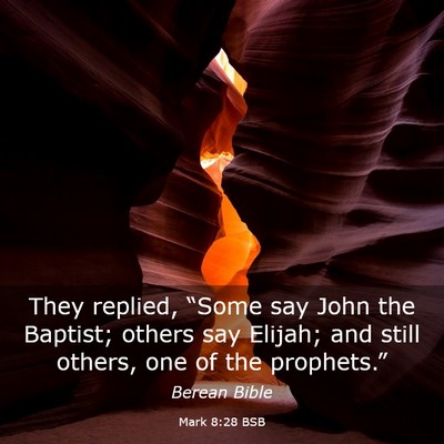 Picture 03 - Mark 8:28 BSB - They replied, “Some say John the Baptist; - Bible Verse Picture