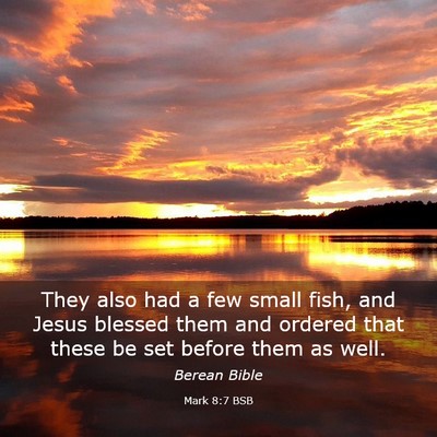 Picture 03 - Mark 8:7 BSB - They also had a few small fish, and Jesus blessed - Bible Verse Picture