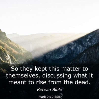 Picture 03 - Mark 9:10 BSB - So they kept this matter to themselves, - Bible Verse Picture