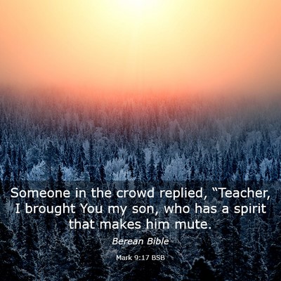 Picture 03 - Mark 9:17 BSB - Someone in the crowd replied, “Teacher, I - Bible Verse Picture