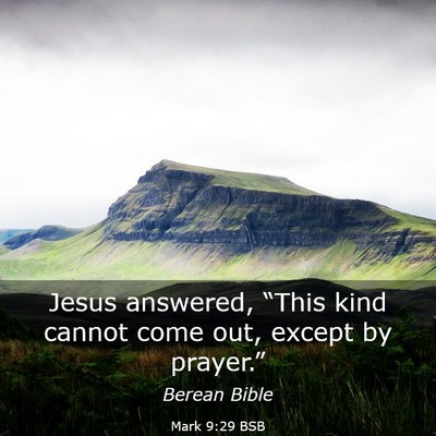 Picture 03 - Mark 9:29 BSB - Jesus answered, “This kind cannot come out, - Bible Verse Picture