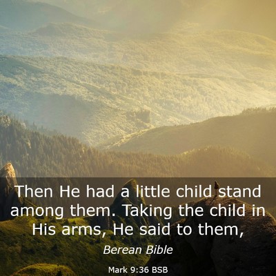Picture 03 - Mark 9:36 BSB - Then He had a little child stand among them. - Bible Verse Picture