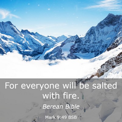 Picture 03 - Mark 9:49 BSB - For everyone will be salted with - Bible Verse Picture