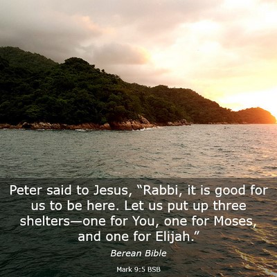 Picture 03 - Mark 9:5 BSB - Peter said to Jesus, “Rabbi, it is good for us - Bible Verse Picture