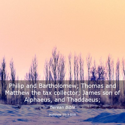 Picture 03 - Matthew 10:3 BSB - Philip and Bartholomew; Thomas and Matthew the - Bible Verse Picture