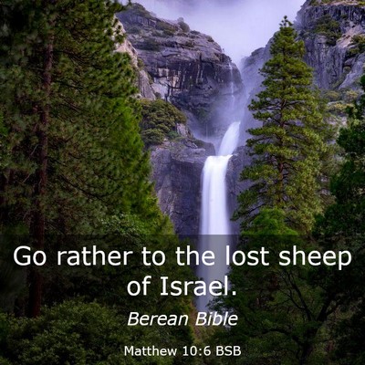 Picture 03 - Matthew 10:6 BSB - Go rather to the lost sheep of - Bible Verse Picture