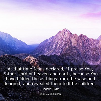 Picture 03 - Matthew 11:25 BSB - At that time Jesus declared, “I praise You, - Bible Verse Picture