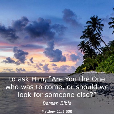 Picture 03 - Matthew 11:3 BSB - to ask Him, “Are You the One who was to come, - Bible Verse Picture