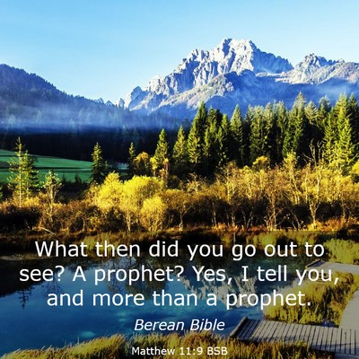 Picture 03 - Matthew 11:9 BSB - What then did you go out to see? A prophet? Yes, - Bible Verse Picture