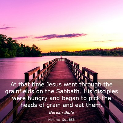 Picture 03 - Matthew 12:1 BSB - At that time Jesus went through the grainfields - Bible Verse Picture