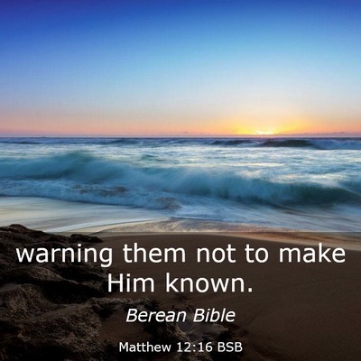 Picture 03 - Matthew 12:16 BSB - warning them not to make Him - Bible Verse Picture
