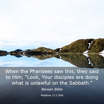 Picture 03 - Matthew 12:2 BSB - When the Pharisees saw this, they said to Him, - Bible Verse Picture